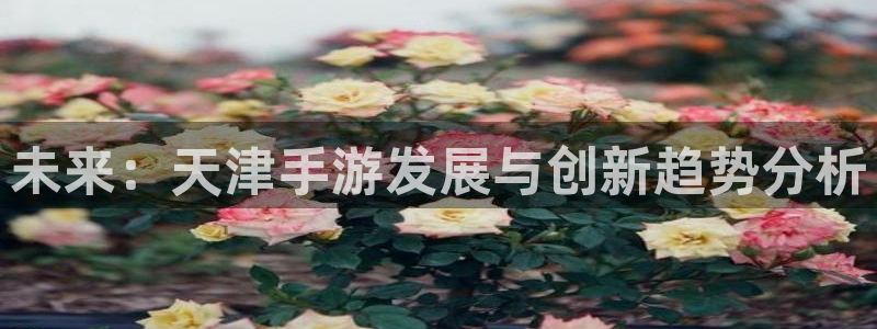 三牛娱乐官网登录入口下载手机版：未来：天津手游发展与创新趋势