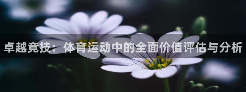 77体育app下载官网