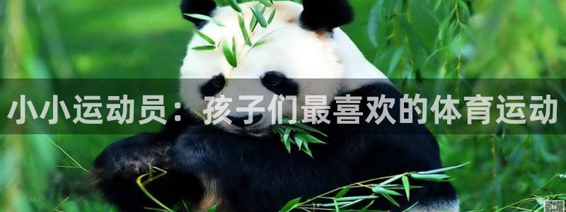 77体育官网
