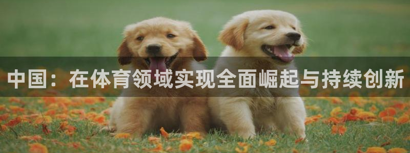 77体育app下载官网：中国：在体育领域实现全面崛起与持续创新