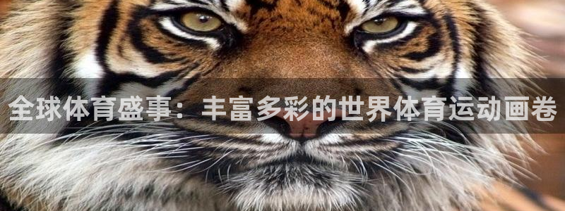 皇冠277体育：全球体育盛事：丰富多彩的世界体育运动画卷