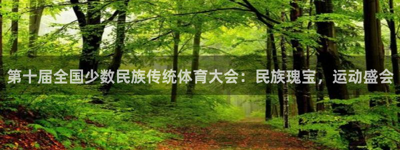 77体育官网
