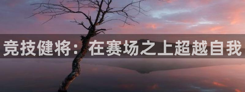 77体育官网