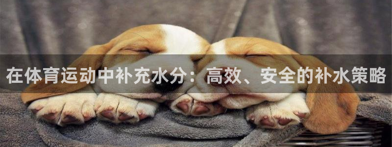 77体育app下载官网
