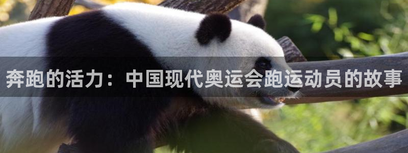 77体育app下载官网：奔跑的活力：中国现代奥运会跑运动员的故事